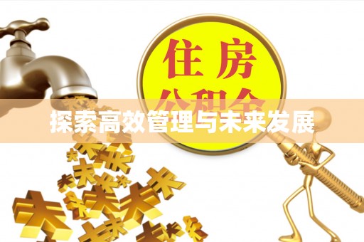 咸安探索高效管理与未来发展