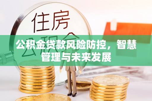 咸安公积金贷款风险防控，智慧管理与未来发展