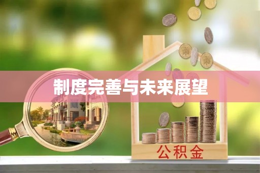 咸安制度完善与未来展望