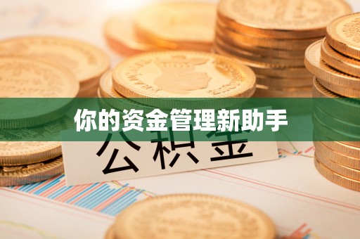 咸安你的资金管理新助手