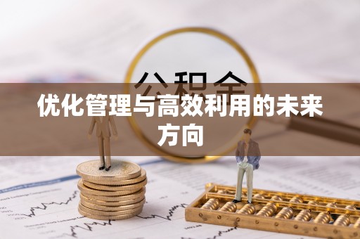 咸安优化管理与高效利用的未来方向