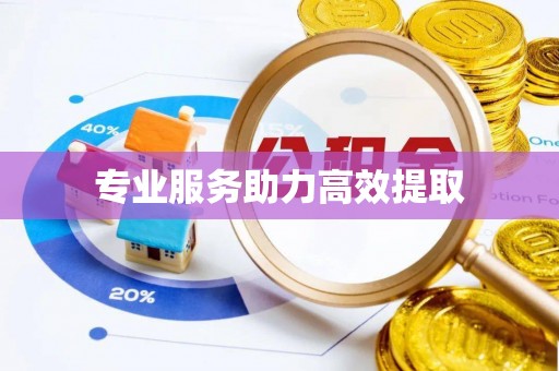 咸安专业服务助力高效提取